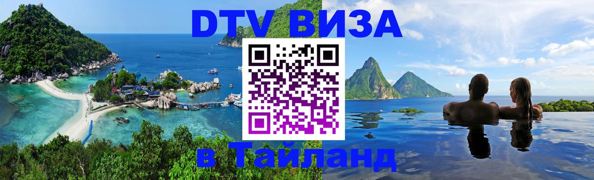 Сколько стоит DTV виза — актуальные цены, оформление даже без документов - Рубцовск  21.11.2025 